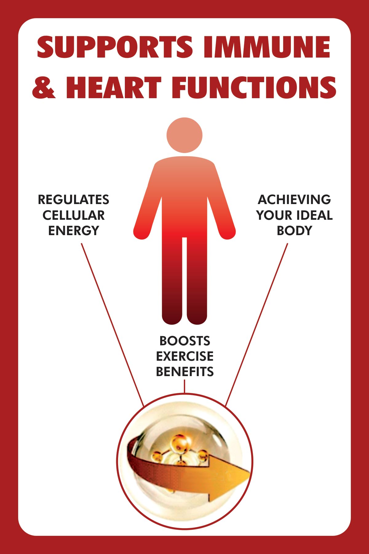 Nikoni Liposomal Berberine 500 mg Support Heart Health & Cholesterol 60 Softgels