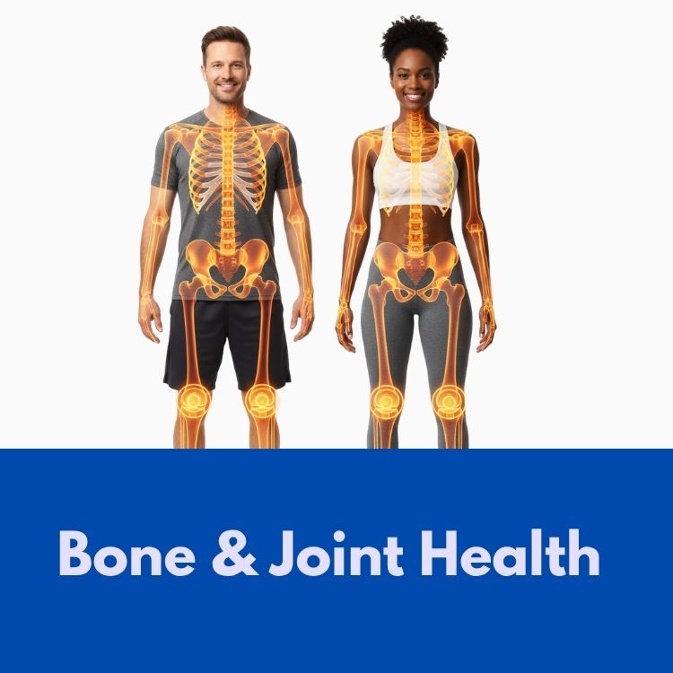 Bone & Joint