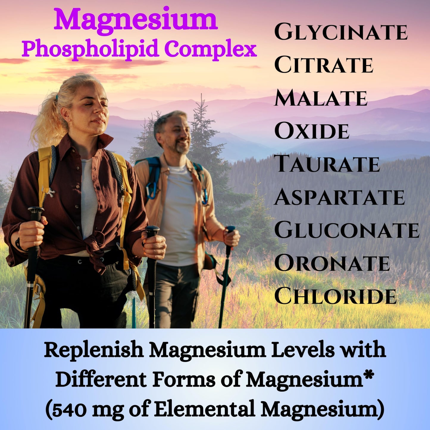 Nikoni Phospholipid Magnesium Complex 2500mg (9 Magnesium Salts, 5 Vitamins & 3 Minerals) Softgels