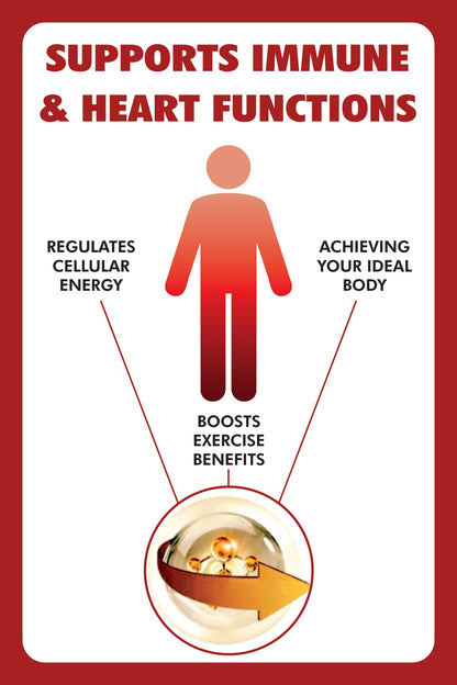 Nikoni Liposomal Berberine 500 mg Support Heart Health & Cholesterol 60 Softgels