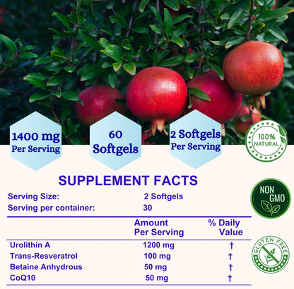 Nikoni Liposomal Urolithin-A Supplement 1400mg Softgels