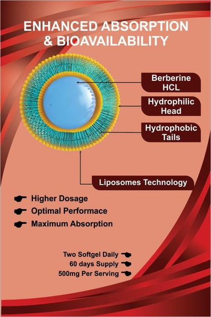 Nikoni Liposomal Berberine 500 mg Support Heart Health & Cholesterol 60 Softgels