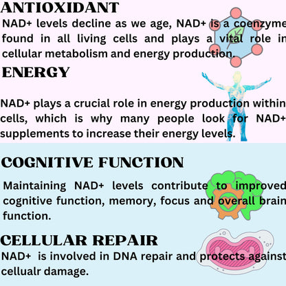 Nikoni Liposomal NAD+ 2000 mg with TMG and Pterostilbene Softgels