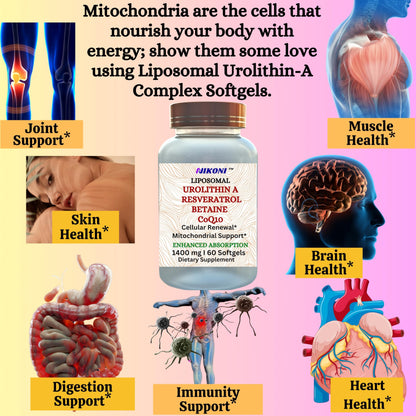 Nikoni Liposomal Urolithin-A Supplement 1400mg Softgels